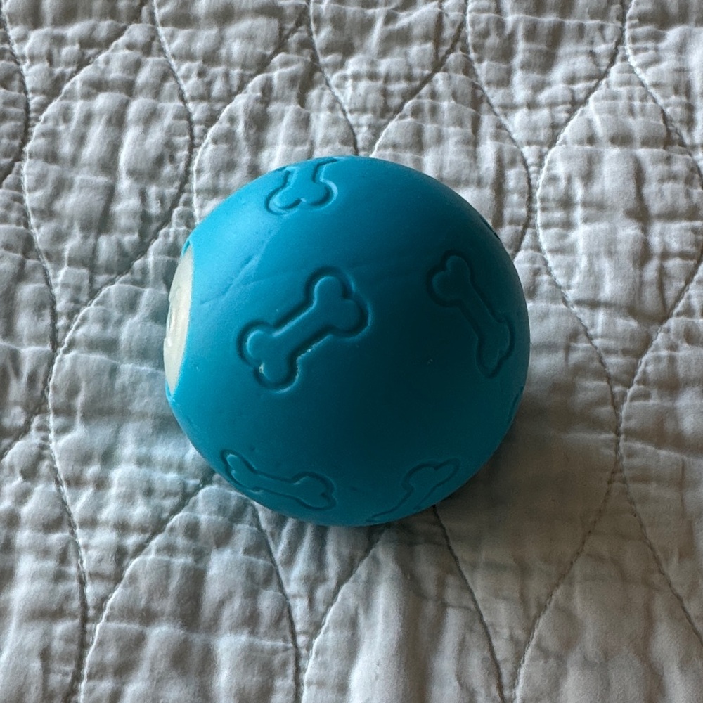 Blue Dog Toy Ball with Bone Design